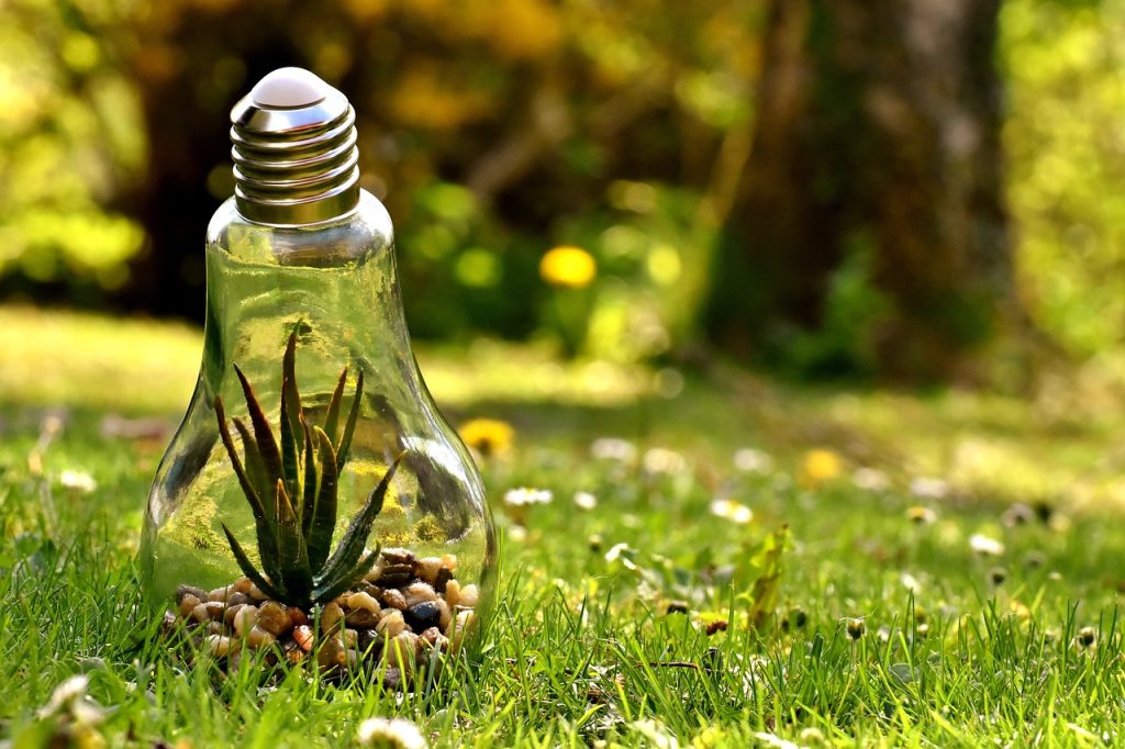 environmental education