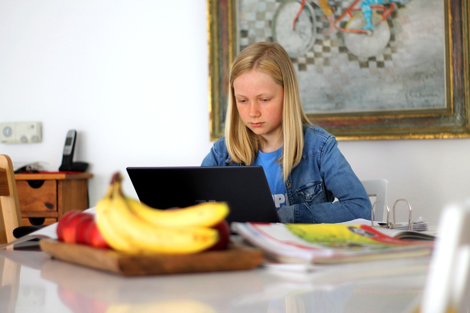 Homeschooling, School, Technology, Digital, Computer