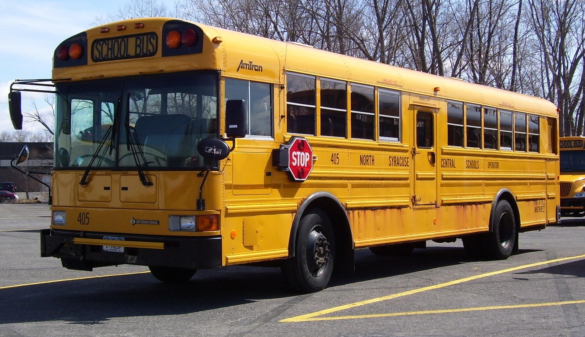 school bus driver